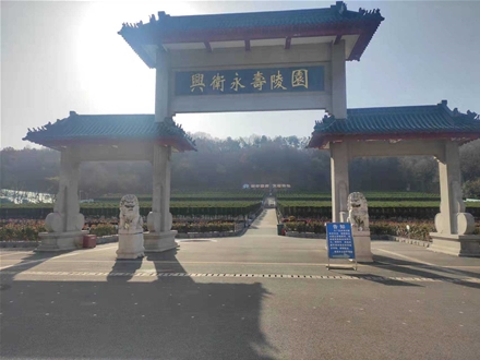 公司环境