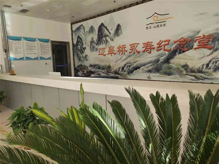 公司环境